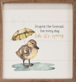 Despite The Forecast Duckling White